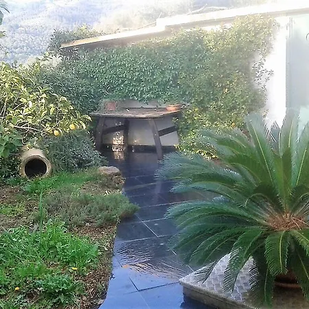 Il Riccio Imperia